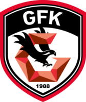 Takım logosu
