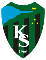 Takım logosu