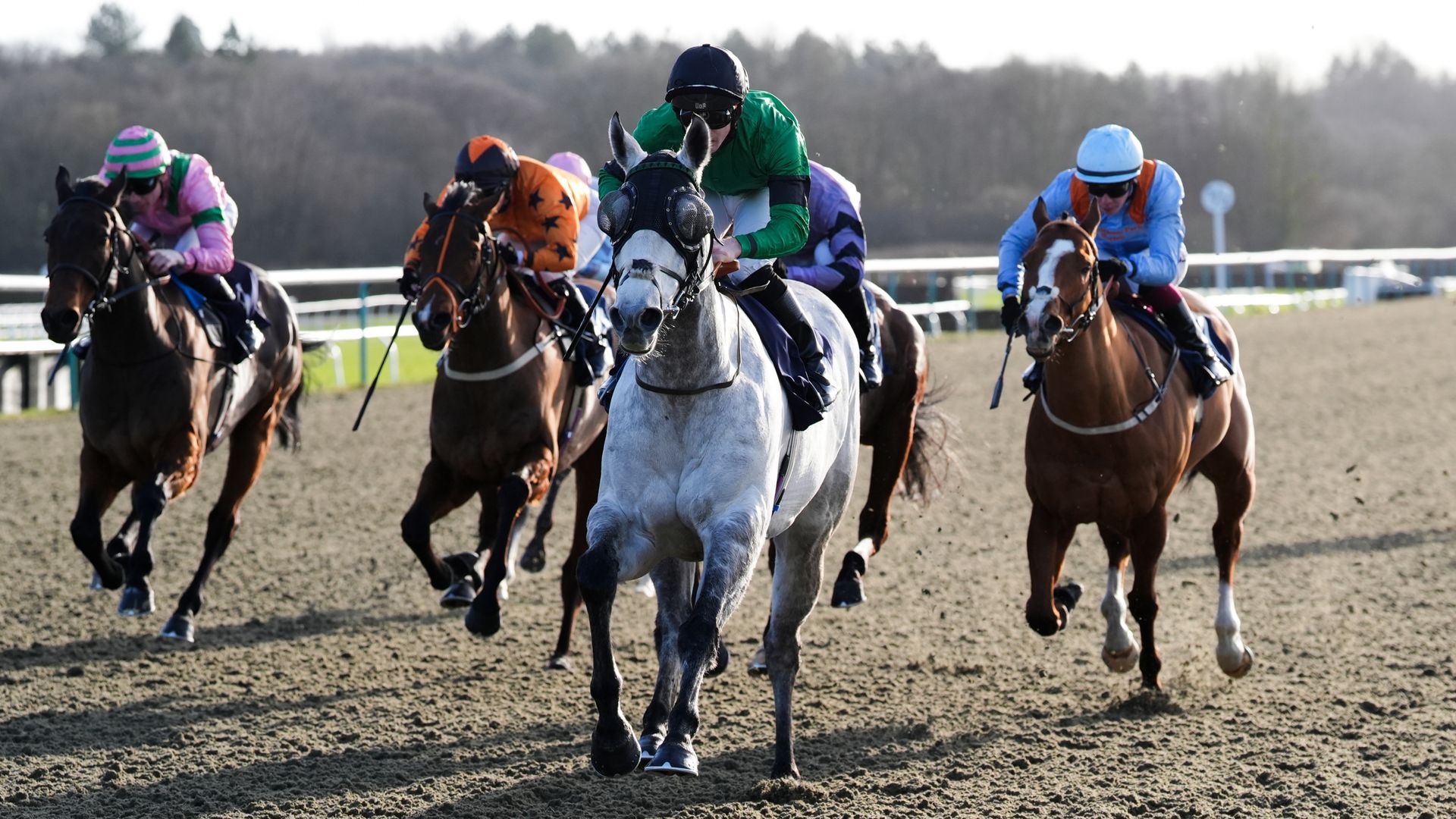 El Matador Lingfield yarışı