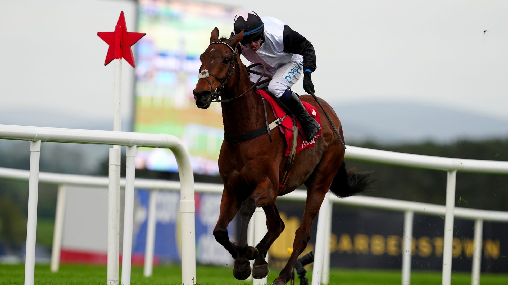 Bob Olinger Punchestown