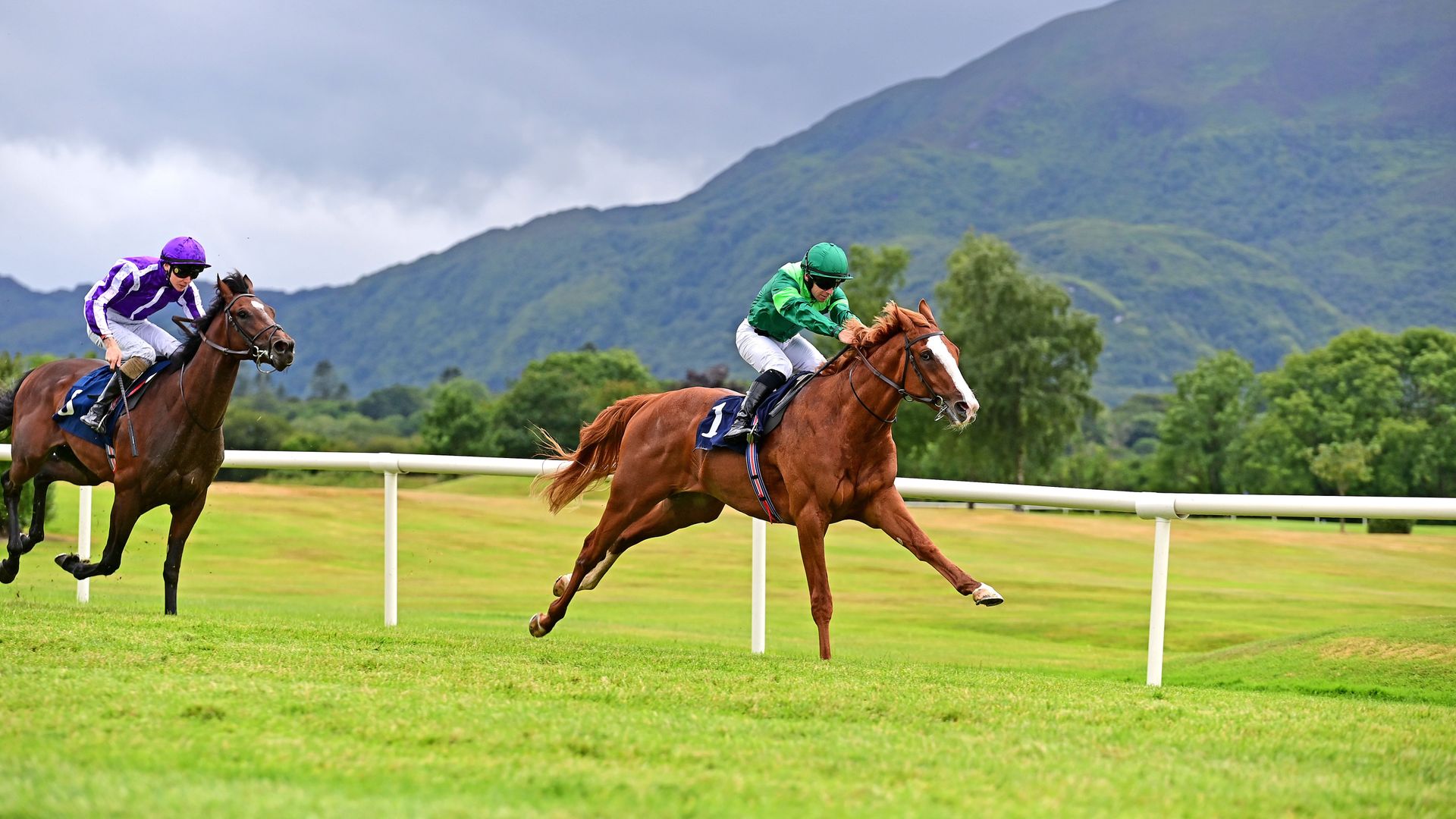 Benvenuto Cellini Chester Vase
