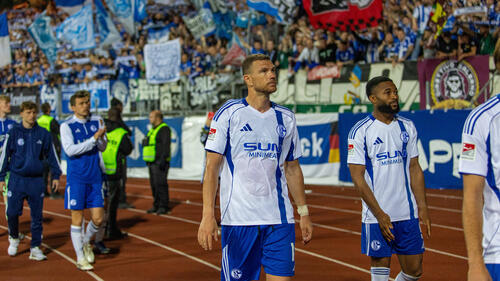 Edin Dzeko Schalke
